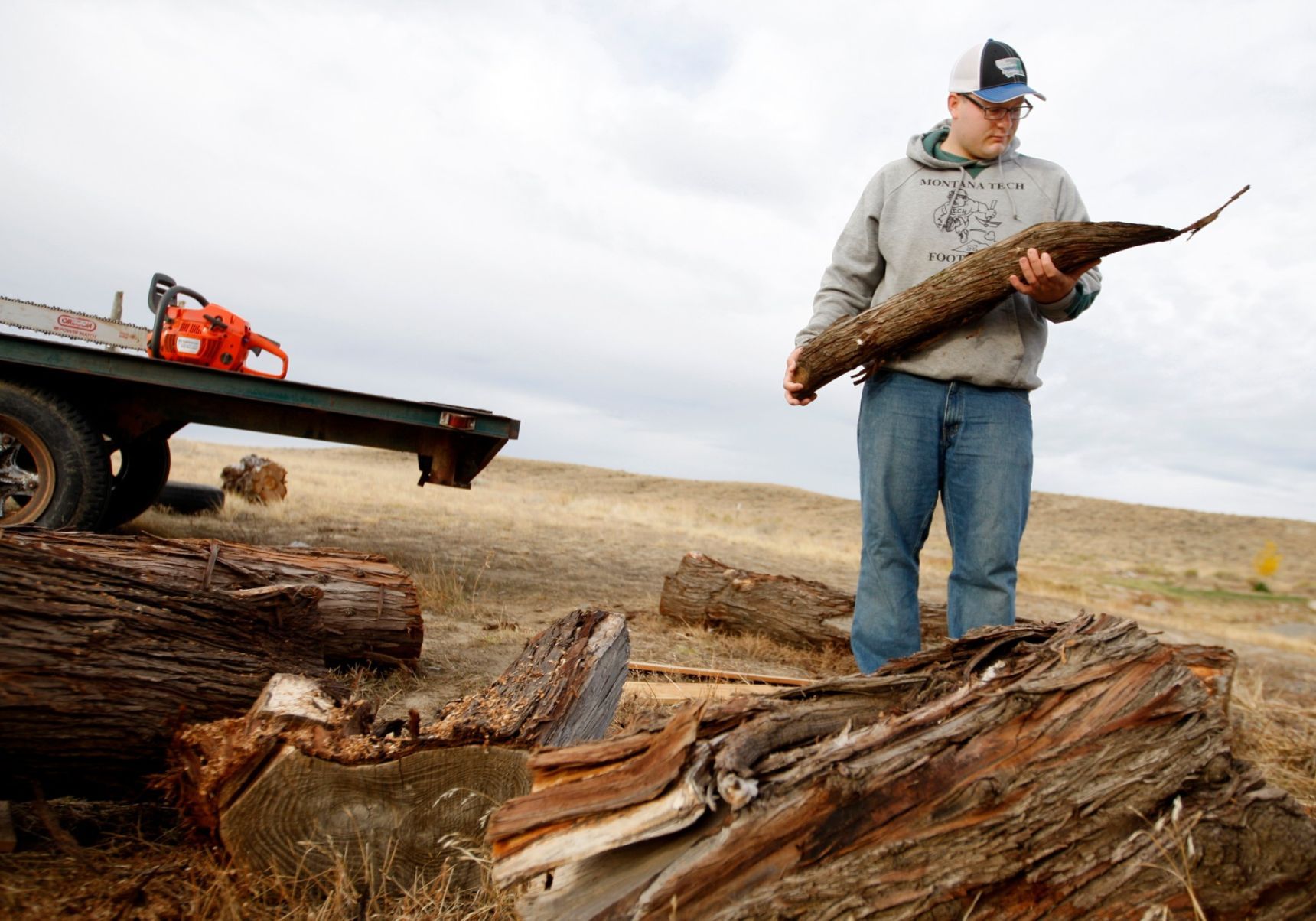 Bishop looks at a Russian olive log